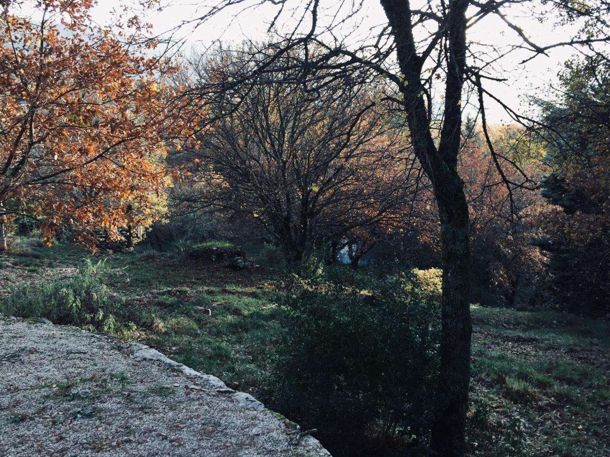 La Maison De Mado Et Sa Cabane Dans Les Arbres Plan d'Aups Exterior foto
