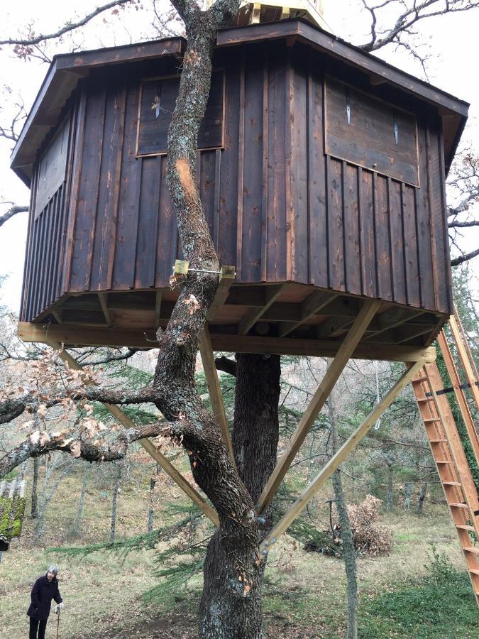 La Maison De Mado Et Sa Cabane Dans Les Arbres Plan d'Aups Exterior foto